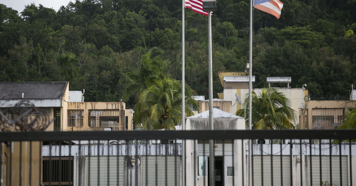 Muere en albergue del Departamento de Justicia testigo de asesinato en Guayama : Noticias de Puerto Rico