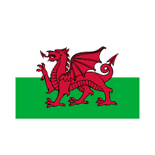 Iran – Estados Unidos: resumen, resultado y goles