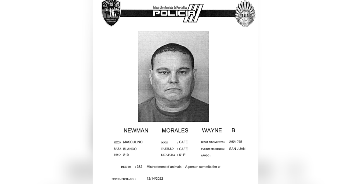 Hallan causa para arresto contra hombre por maltrato animal en Santurce : Noticias de Puerto Rico