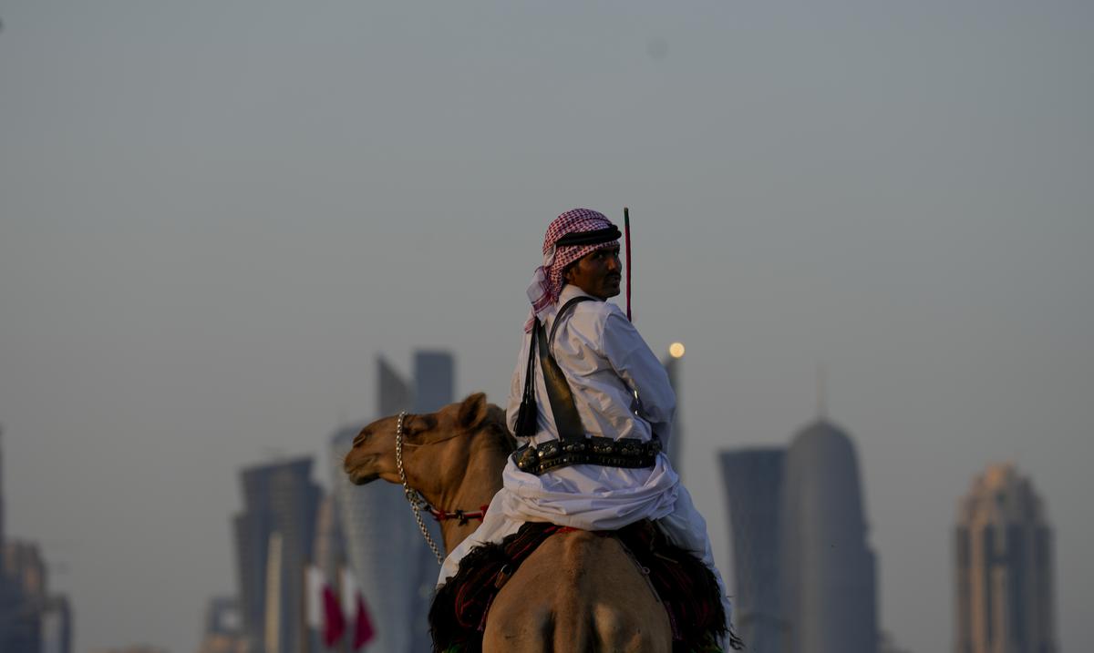 Catar: los camellos trabajan horas extra tras el millon de aficionados que visitan el pais para la Copa Mundial de Futbol : Deportes de Puerto Rico
