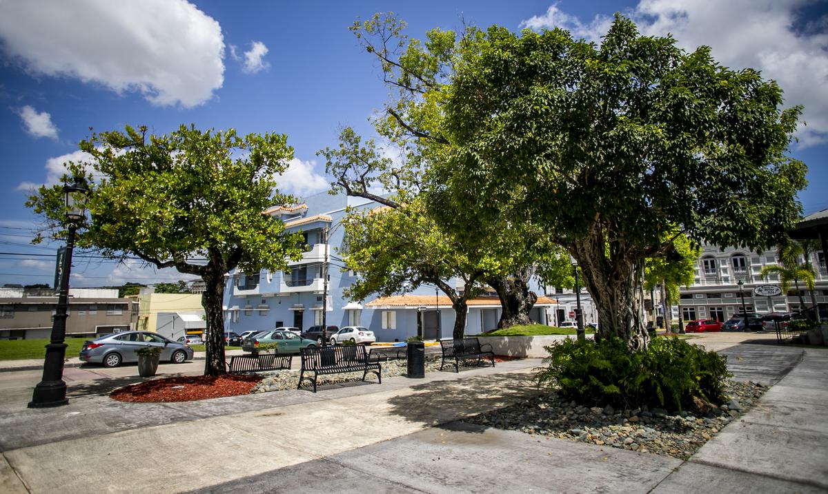 El alcalde Ramon Luis Rivera Cruz busca opciones para aliviar el trafico en Bayamon : Noticias de Puerto Rico