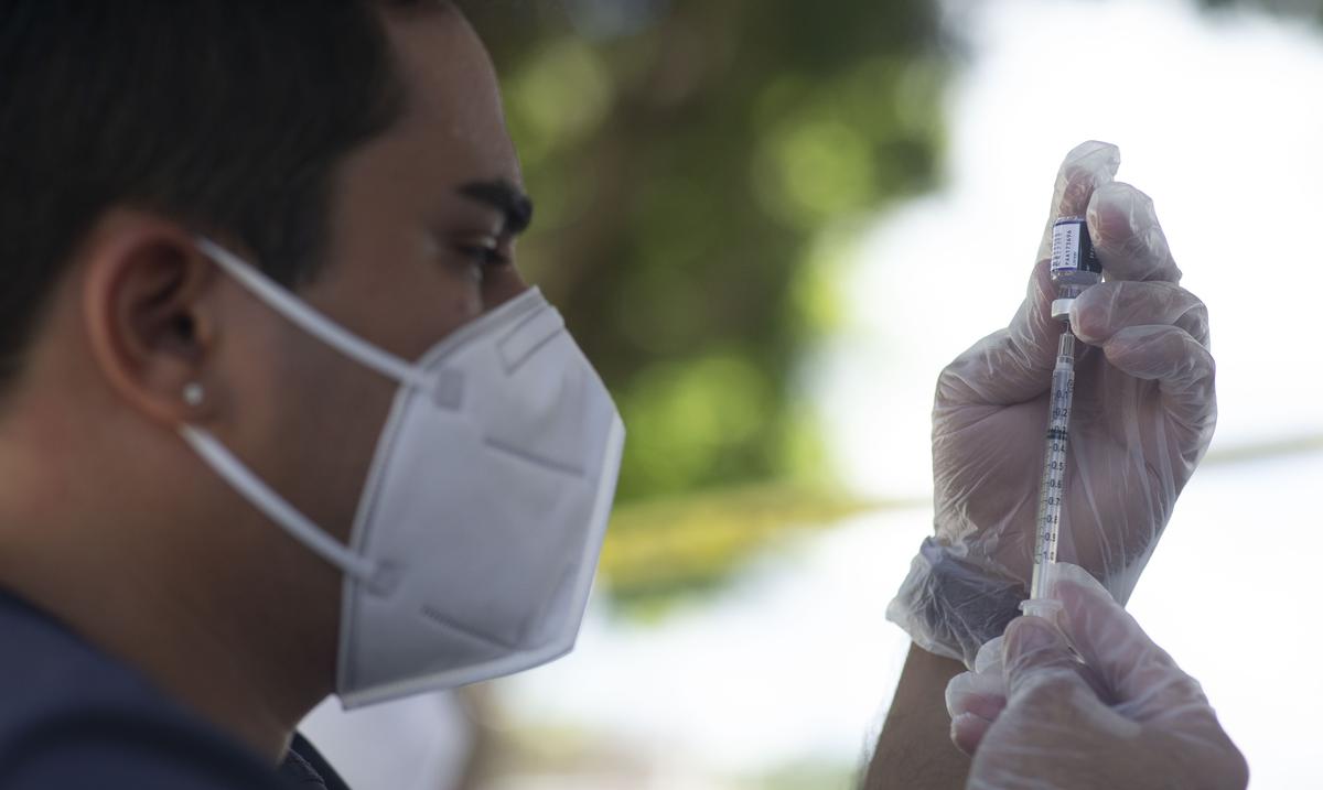 Como manejar la tercera Navidad junto al COVID-19 : Noticias de Puerto Rico