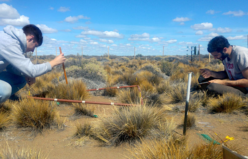 Proponen una forma de anticiparse a la degradacion en Patagonia : Entretenimiento de Argentina