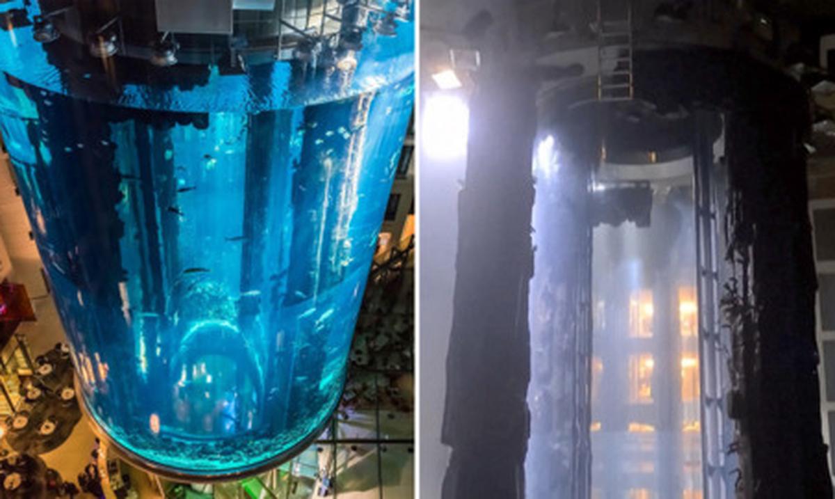 Alemania: estalla un enorme acuario con mas de 1,500 peces : Noticias de